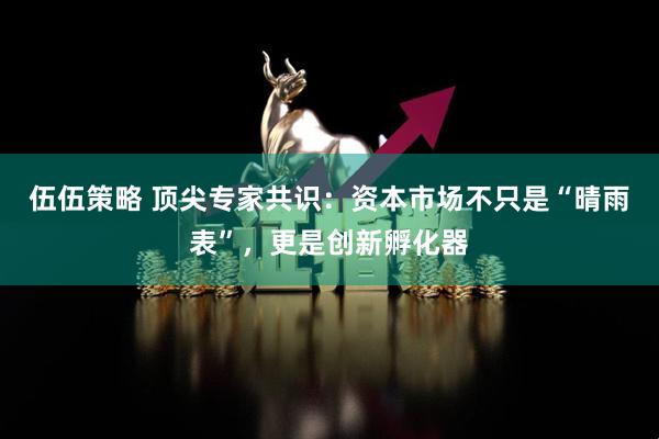 伍伍策略 顶尖专家共识：资本市场不只是“晴雨表”，更是创新孵化器